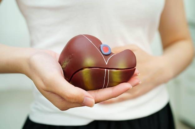 Co pomaga zregenerować wątrobę po długotrwałym stresie?