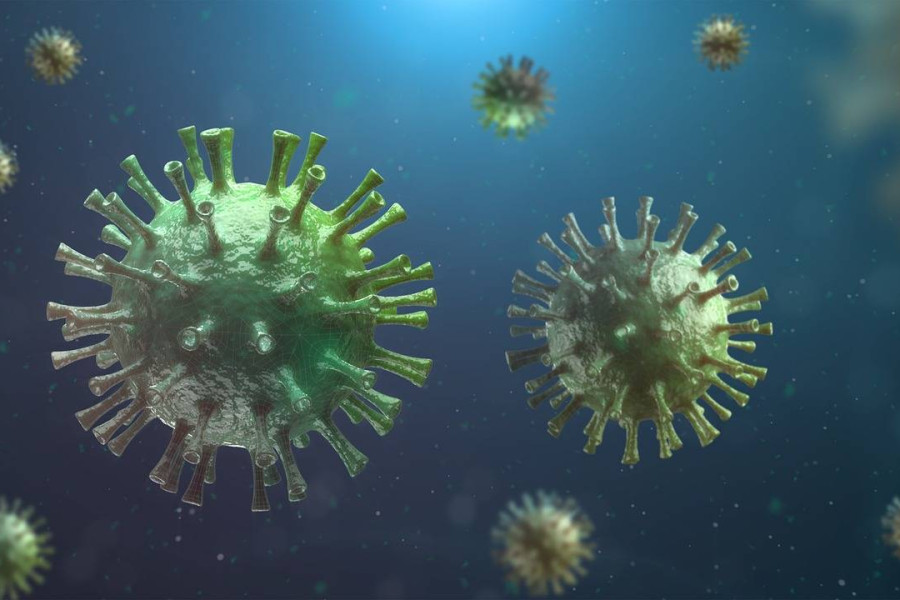Cholesterol skąd się bierze i jak wpływa na nasze zdrowie?