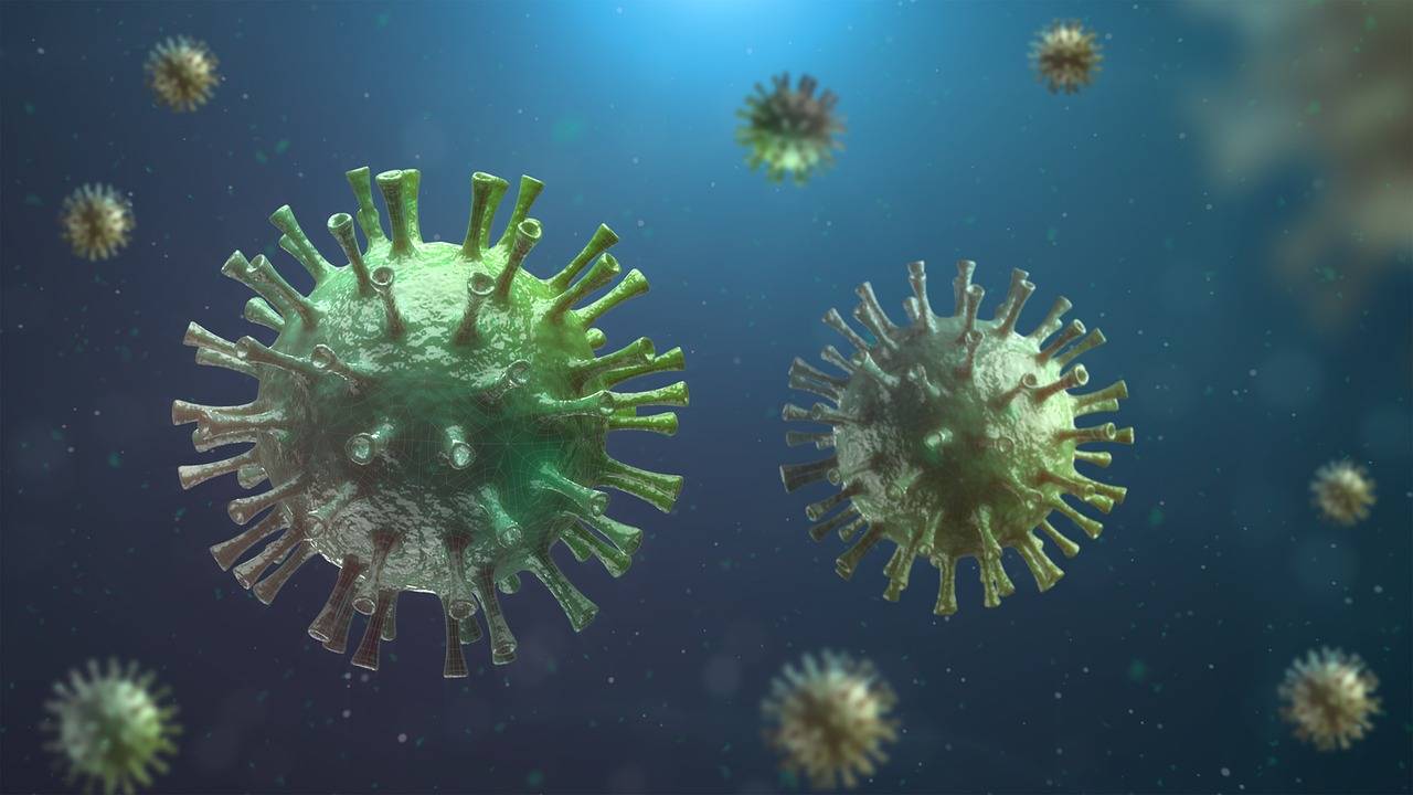 Cholesterol skąd się bierze i jak wpływa na nasze zdrowie?